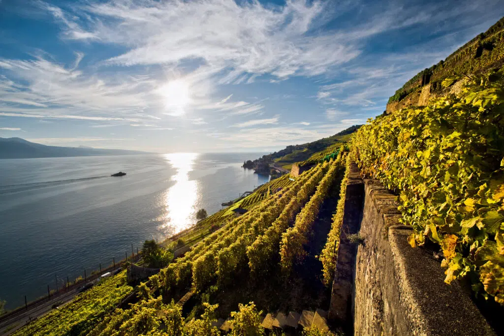 Vinhedos de Lavaux, Patrimônio da UNESCO, sobre o Lago Léman