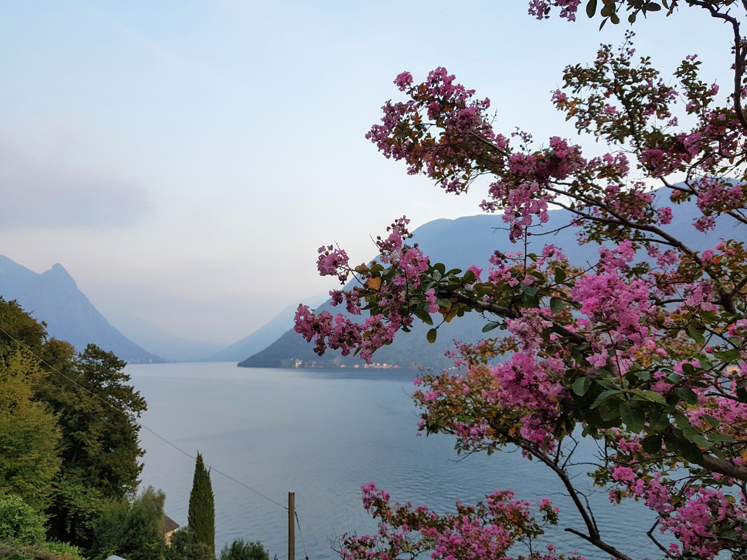 Guia Lugano, Suíça