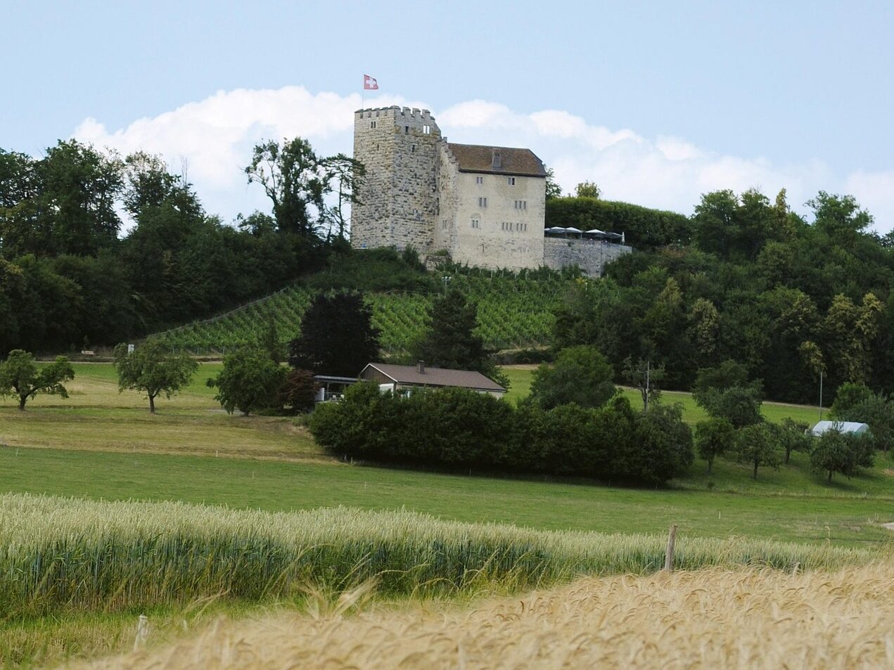 O Castelo de Habsburg, berço da dinastia Habsburgo, sobre uma colina entre vinhedos e campos no cantão de Aargau