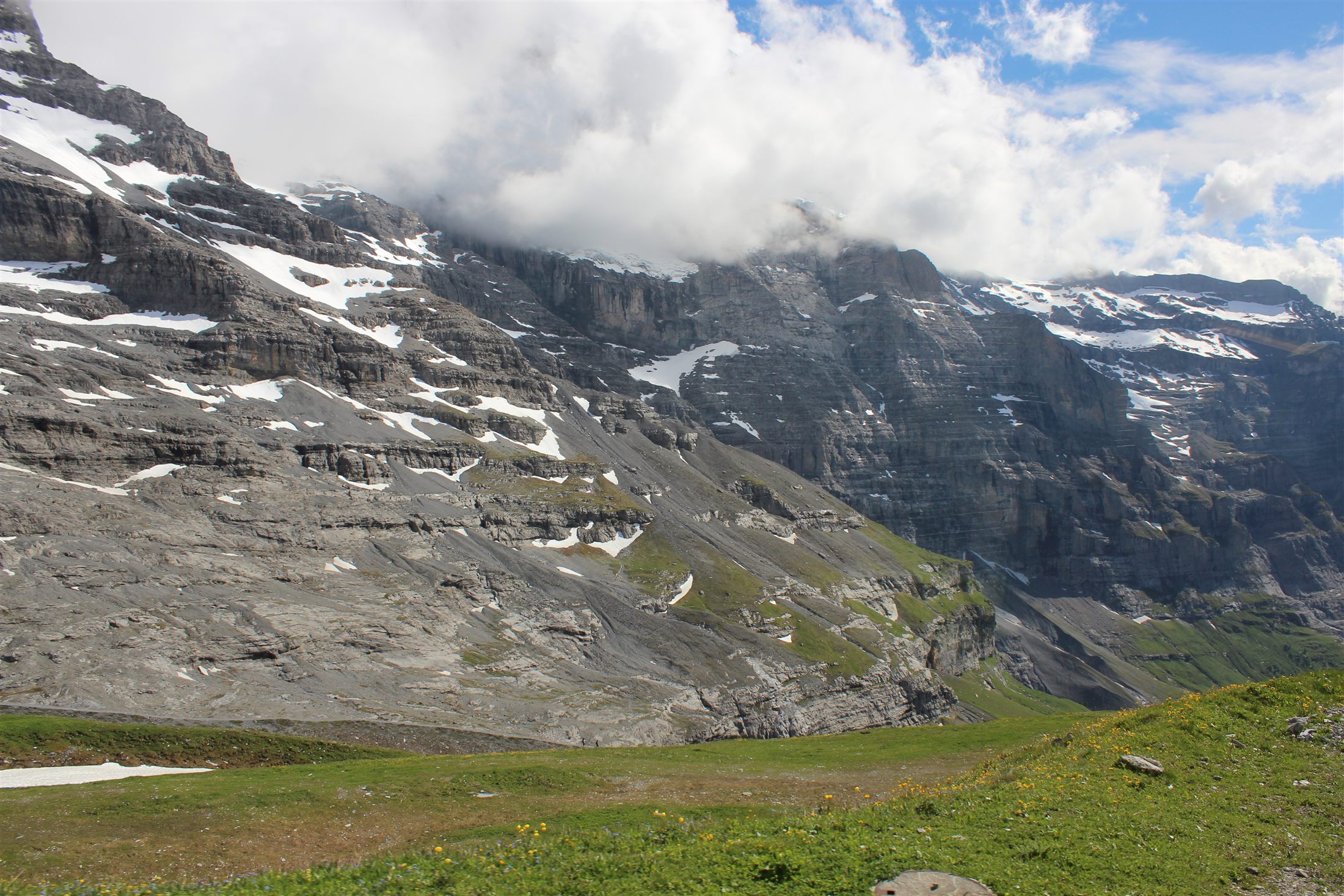 Paredões rochosos nevados da região do Jungfraujoch, com prado alpino e flores amarelas em primeiro plano