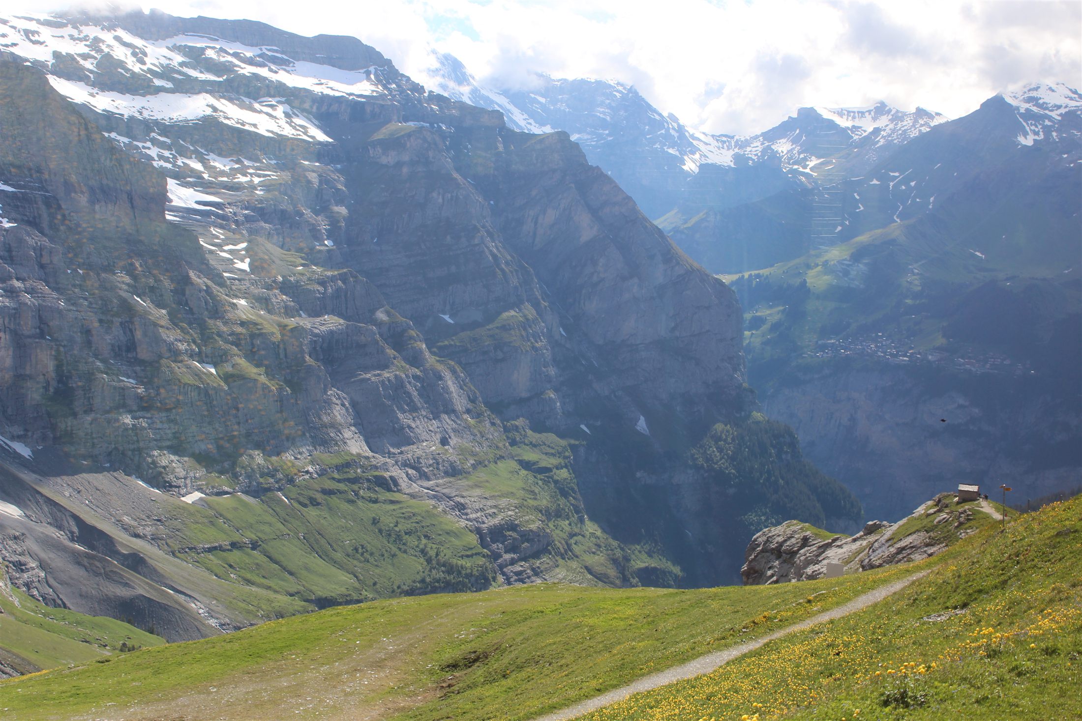 Vale alpino entre Kleine Scheidegg e Männlichen, com prado verde e flores amarelas em primeiro plano e picos nevados ao fundo