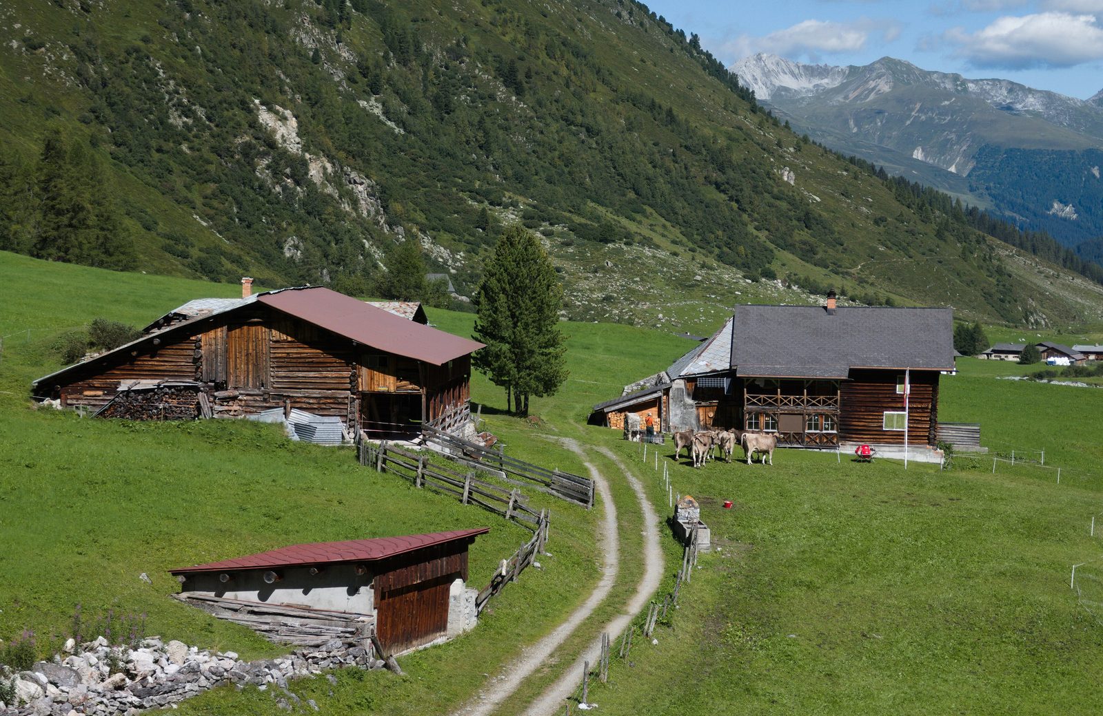 Casas tradicionais de madeira e pedra no vale Sertig em Davos, com pastagens alpinas e montanhas dos Grisões