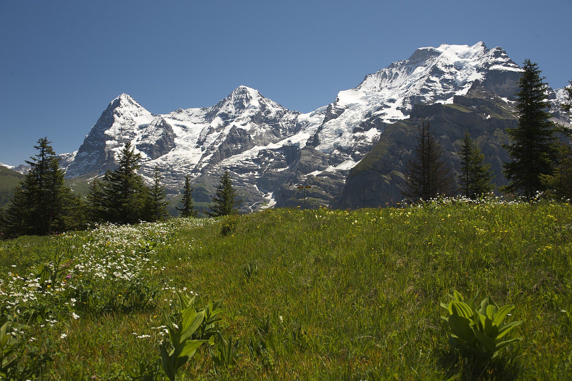 O trio Eiger, Mönch e Jungfrau (a Grosse Drei) sobre um prado alpino, vistos da região de Mürren e do Vale de Lauterbrunnen