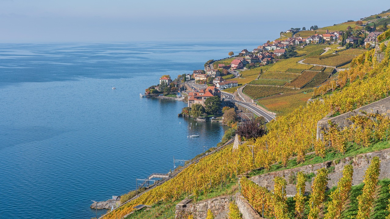 Os terraços de vinhedos de Lavaux descendo até o Lago Léman