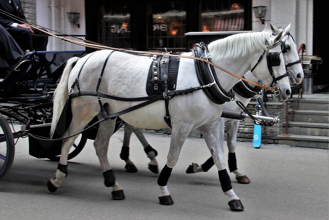 Carruagem puxada a cavalo numa rua de Zermatt, vila sem carros a combustão
