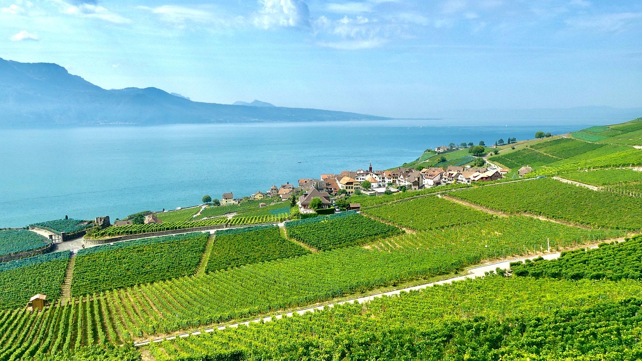 Vinhedos de Lavaux por onde passa o Train des Vignes, na linha Vevey-Puidoux, sobre o Lago de Genebra