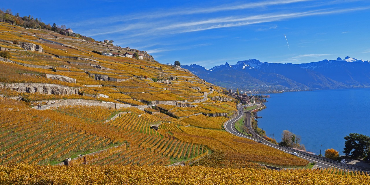 Trilha dos terraços de Lavaux entre fileiras de videiras de Chasselas com o Lago Léman e os Alpes ao fundo no cantão de Vaud