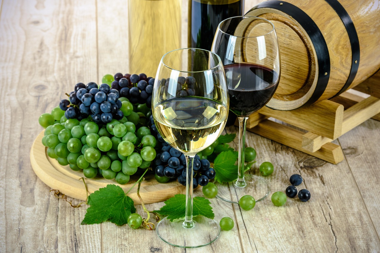 Degustação de vinhos da região de Lavaux, com taças de branco e tinto