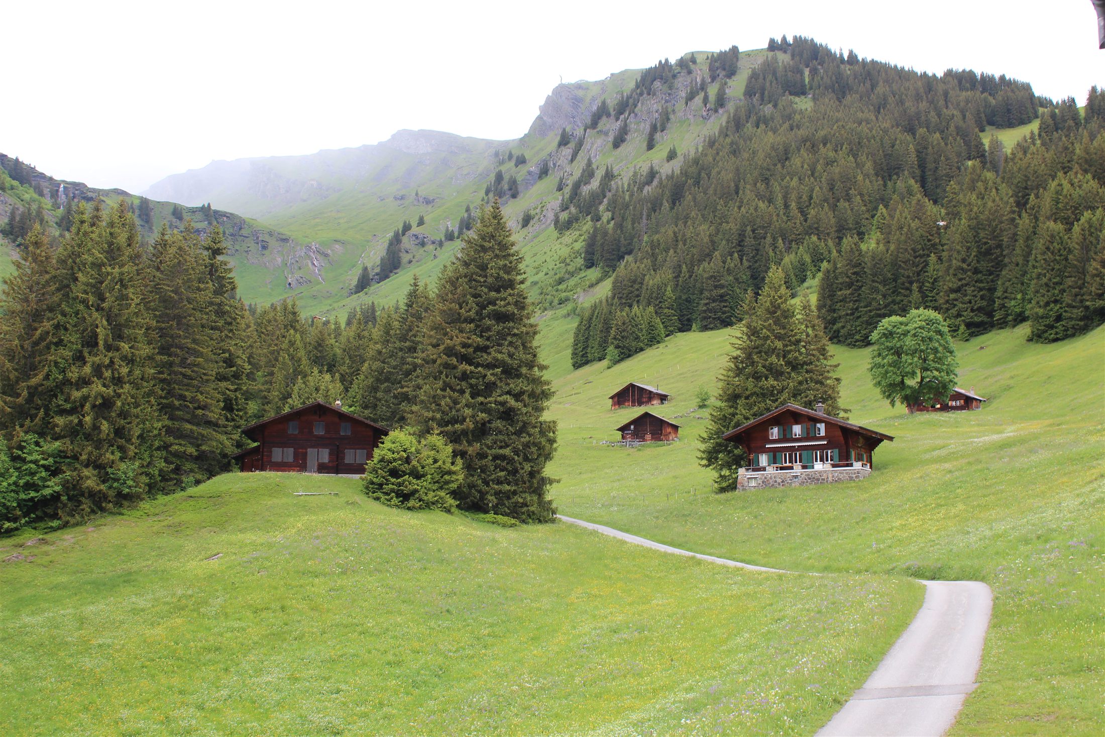 Prado alpino florido com chalés na encosta, na Região da Jungfrau