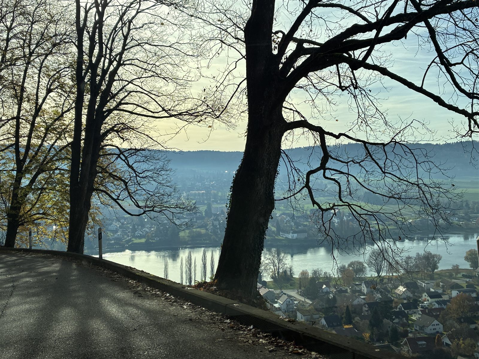 Estrada panorâmica entre árvores, com vista para o vale e o rio na Suíça