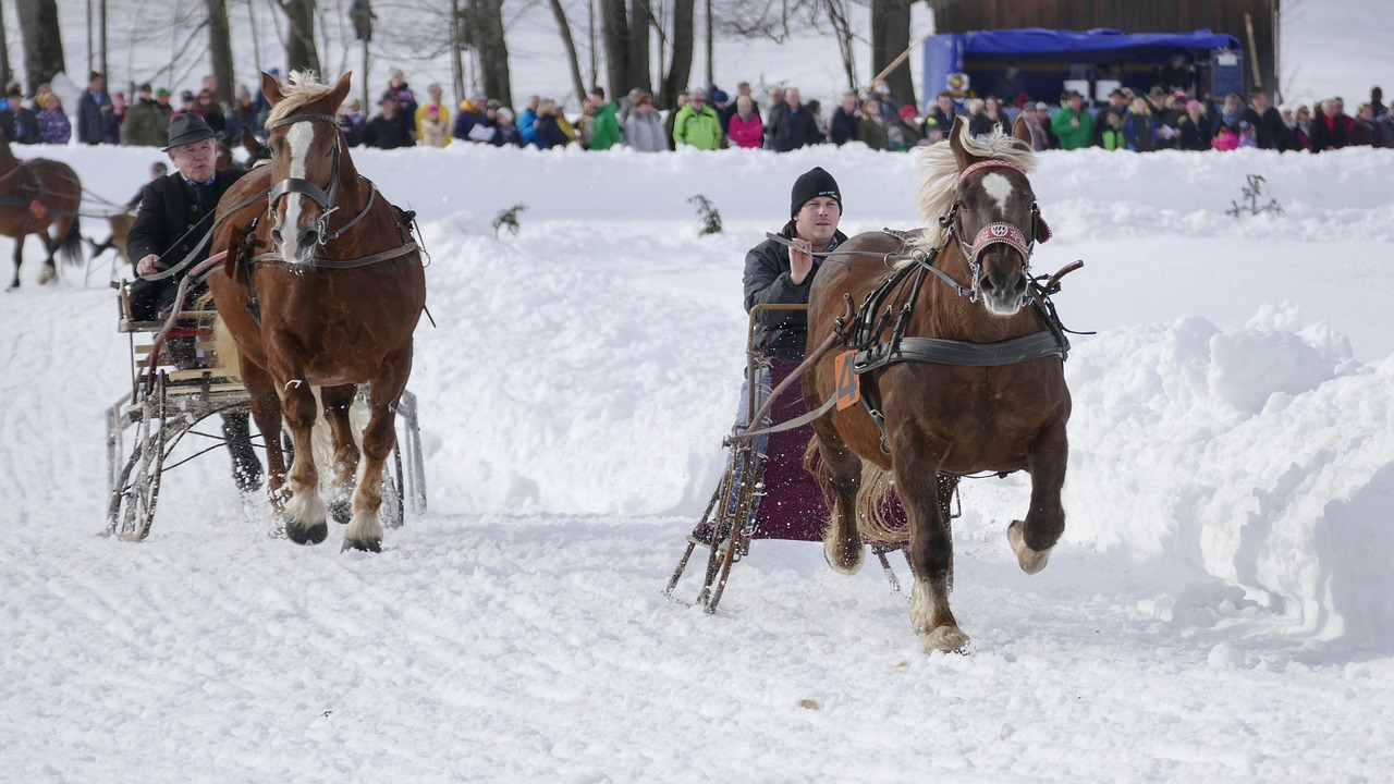 Corrida de cavalos sobre a neve no inverno suíço, no estilo das corridas do White Turf de St. Moritz