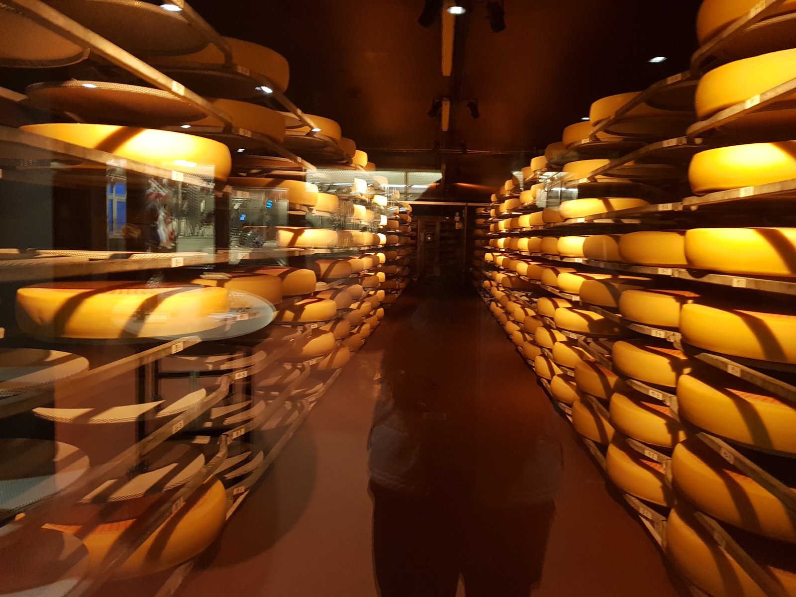 Rodas de queijo em prateleiras iluminadas de uma cave de maturação, vistas pela janela de vidro