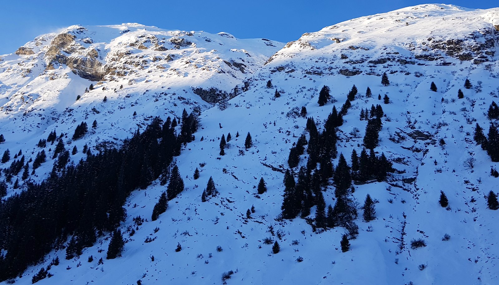 Encosta nevada com coníferas esparsas perto do passo de San Bernardino