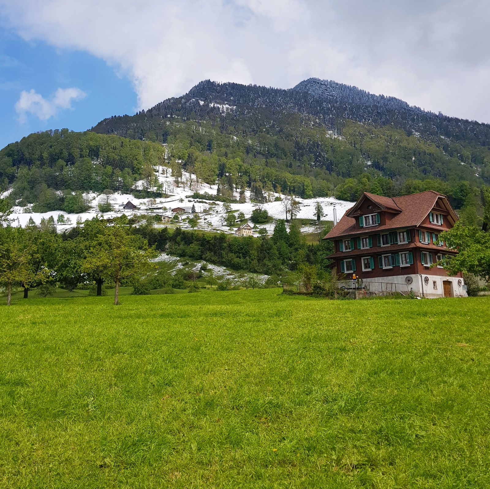 Chalé de madeira em prado verde com neve fresca na encosta acima, perto de Weggis