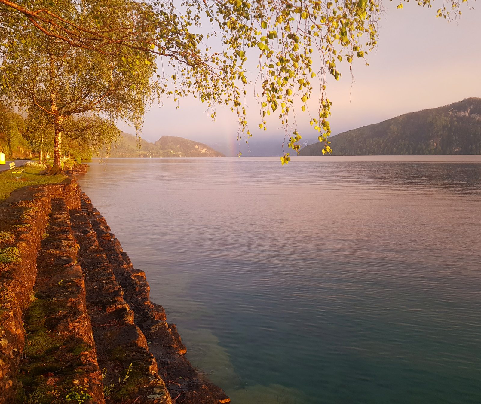 Muro de pedra e bétulas na orla do Lago de Lucerna em Weggis ao entardecer