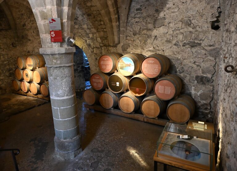 Clos de Chillon: o vinho que envelhece dentro do castelo