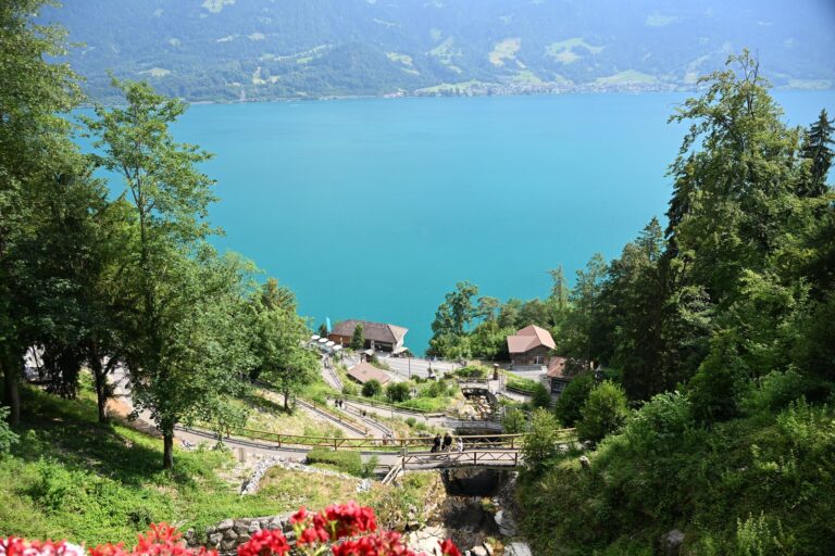 Visitas guiadas em Interlaken e no Lago Thun, em português