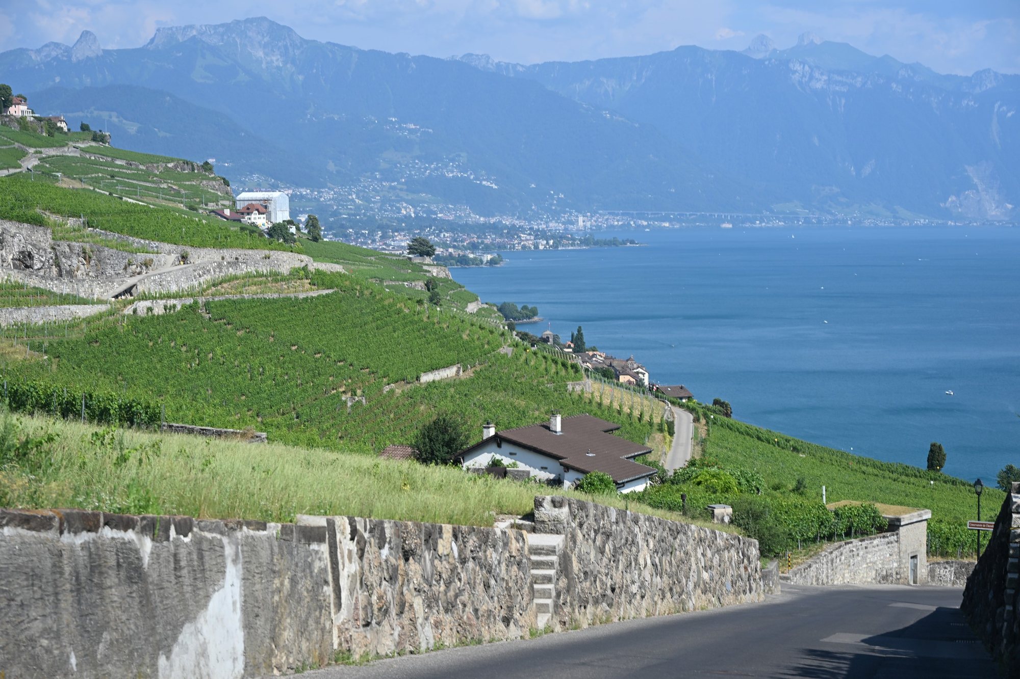 Terraços de vinhedos de Lavaux descendo até o Lago Léman, com a estrada e os muros de pedra em primeiro plano
