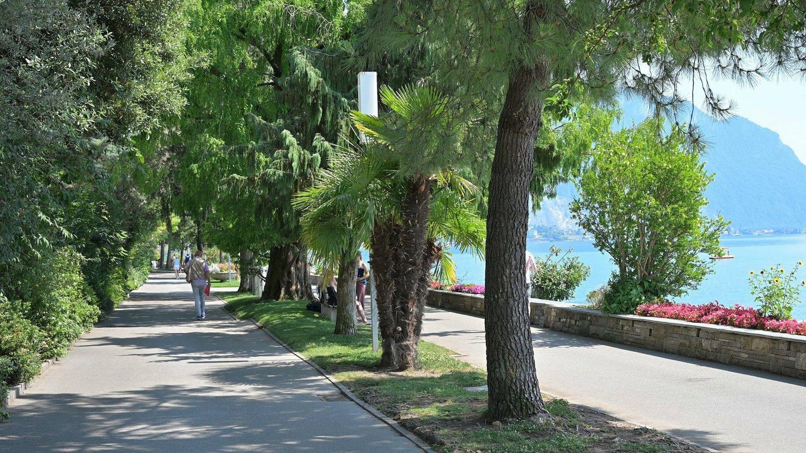 Calçadão arborizado com palmeiras à beira do Lago Léman em Montreux