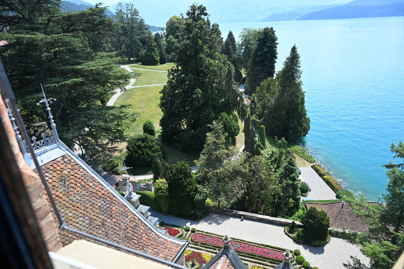Coníferas e sequoias do parque do Castelo de Oberhofen vistas do alto da torre