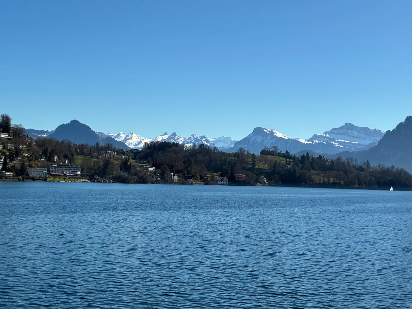 Lago de Lucerna com margem arborizada e montanhas nevadas ao fundo
