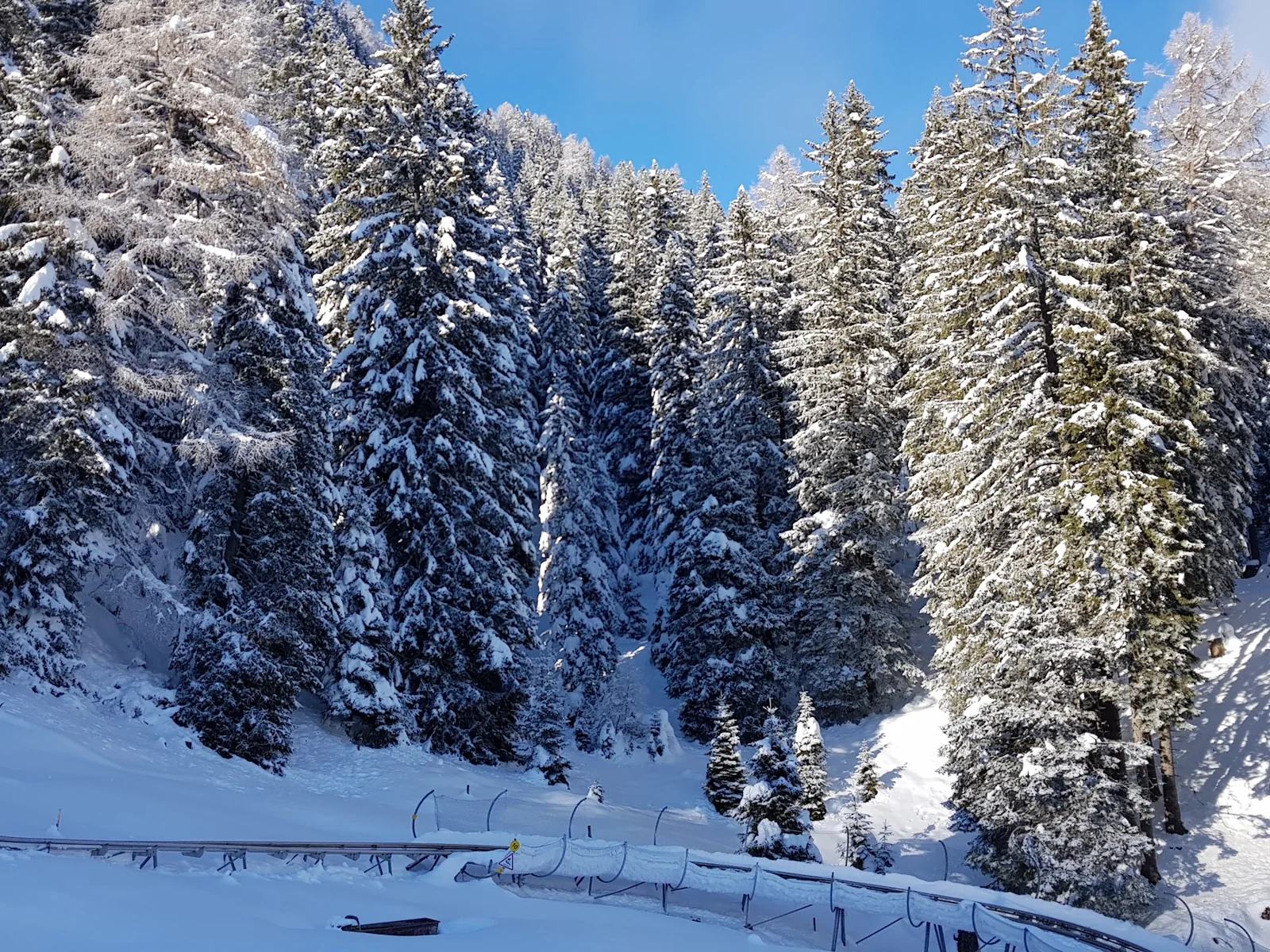 Árvores cobertas de neve sob céu azul na Suíça