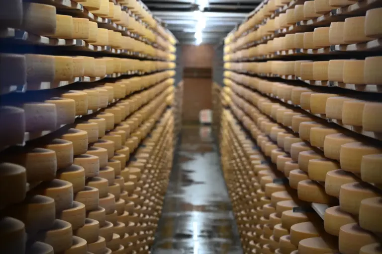 La Maison du Gruyère: visita à queijaria e degustação