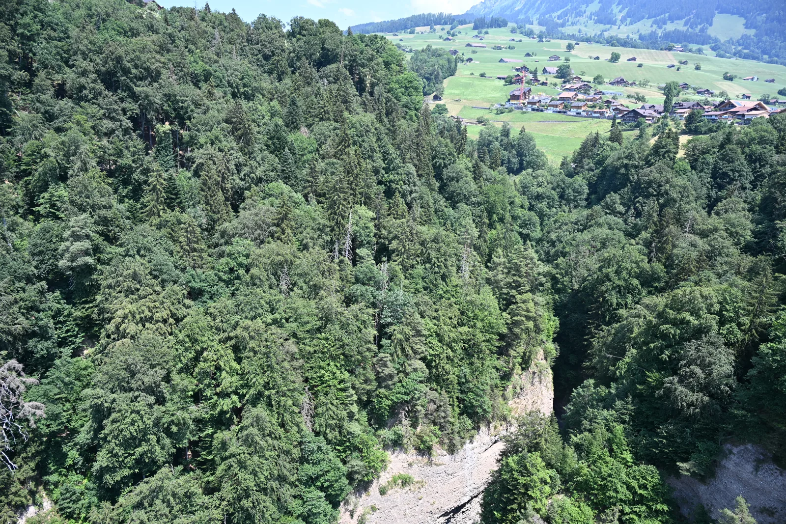 Encostas arborizadas e fundo da garganta abaixo da ponte de Sigriswil